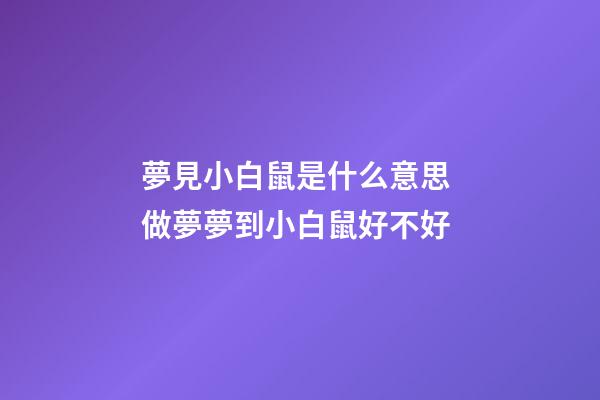 夢見小白鼠是什么意思 做夢夢到小白鼠好不好